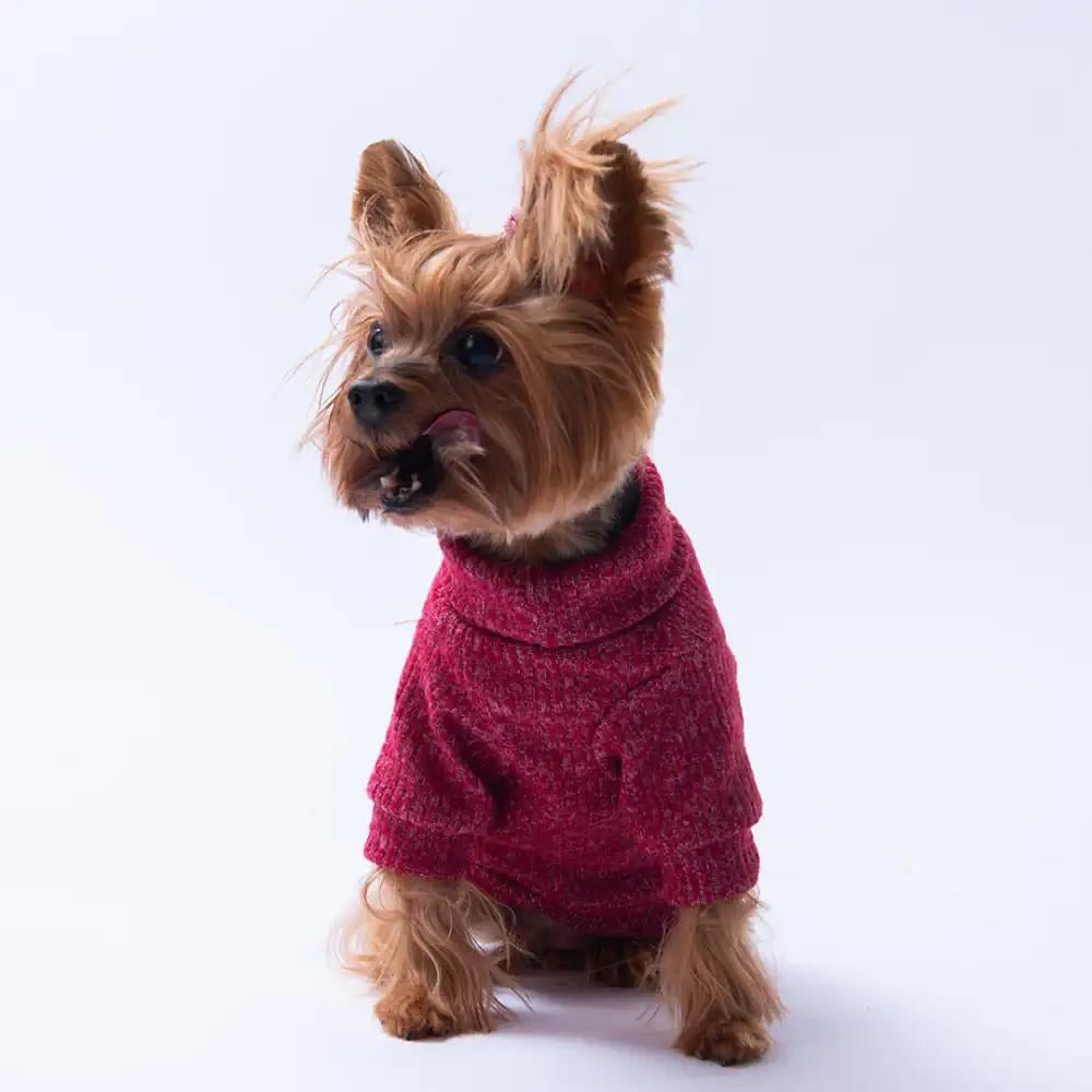 PawStar Bordo Pooh's Ashdown Winnie Triko Sweat