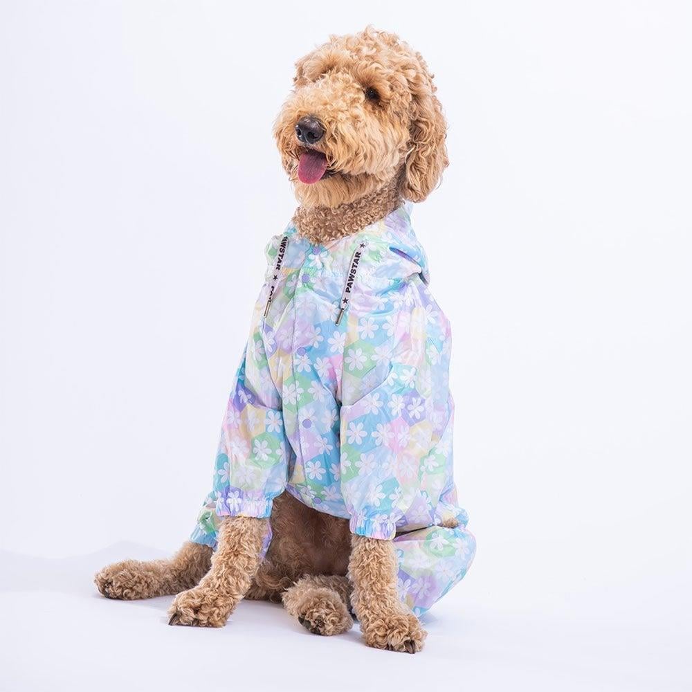 PawStar Flores  Büyük Irk Yağmurluk