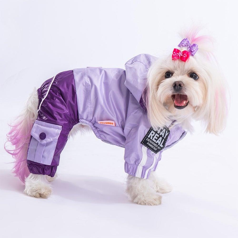 PawStar Lila Mor Bicolor Tulum Yağmurluk Küçük ve Orta Irk