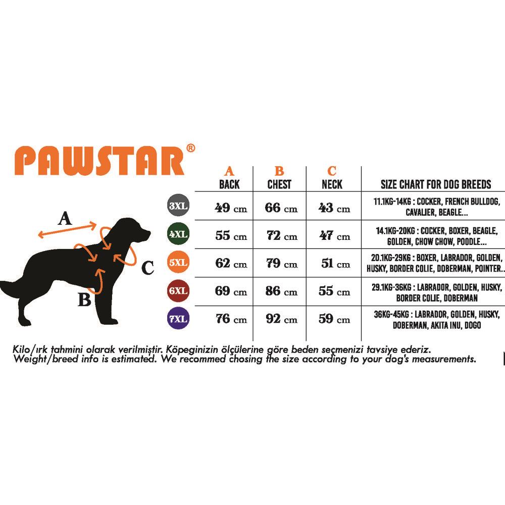 PawStar Neon Turuncu Railway Büyük Irk Yelek