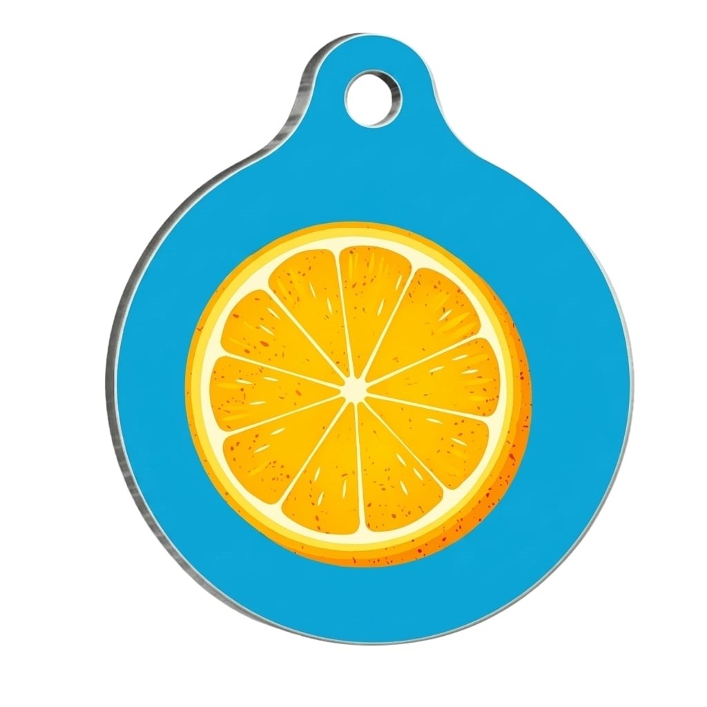 PawStar QR37 Citrus Desenli Kedi Köpek İsimliği