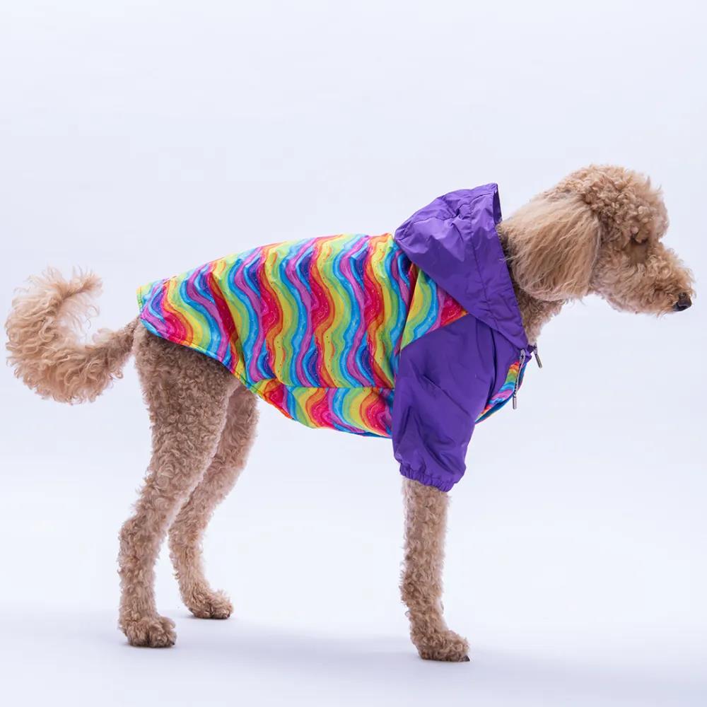 PawStar Rio Rainbow Büyük Irk Yağmurluk