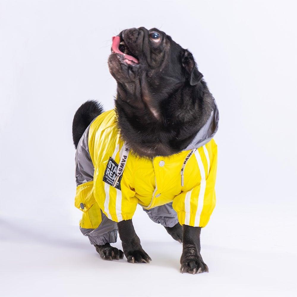 PawStar Sarı Gri Bicolor Tulum Yağmurluk Küçük ve Orta Irk