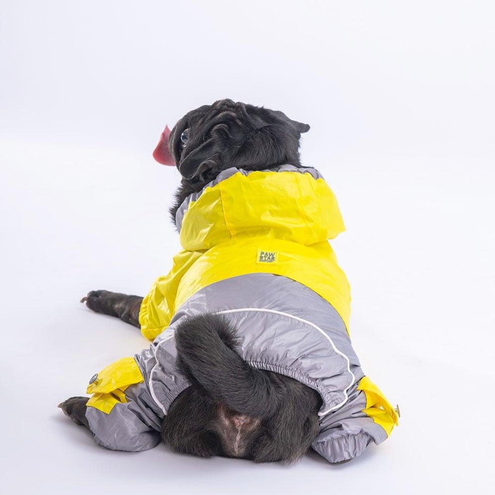 PawStar Sarı Gri Bicolor Tulum Yağmurluk Küçük ve Orta Irk