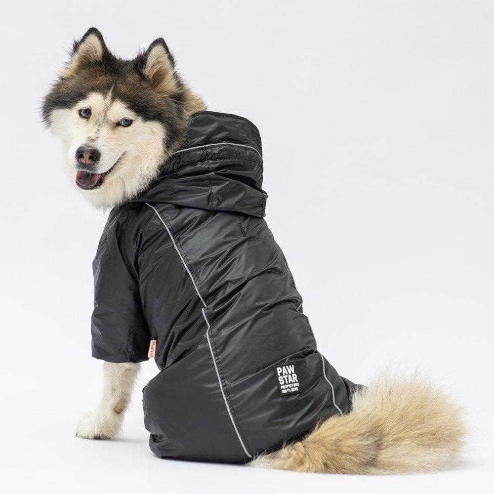 PawStar Siyah Muson Büyük Irk Yağmurluk