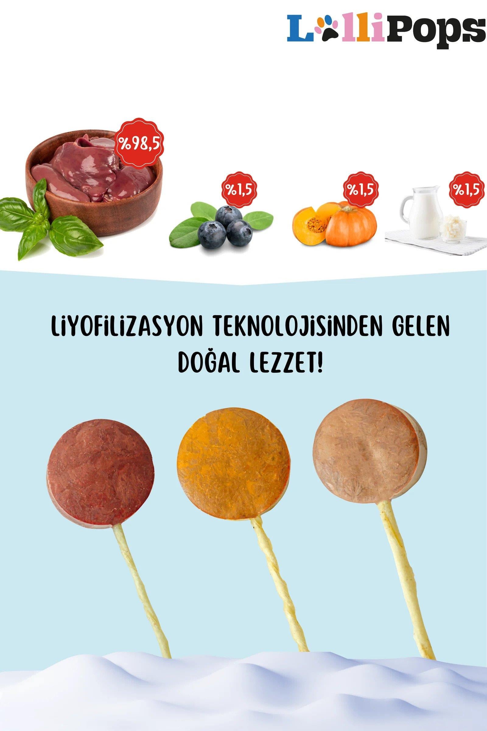 Pet Pops Freeze Dry Lolipop Bal Kabaklı Kedi Ödülü