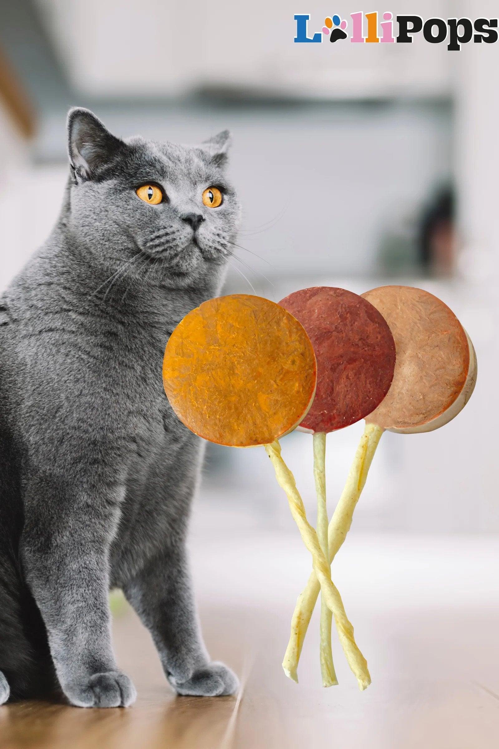 Pet Pops Freeze Dry Lolipop Kefirli Kedi Ödülü