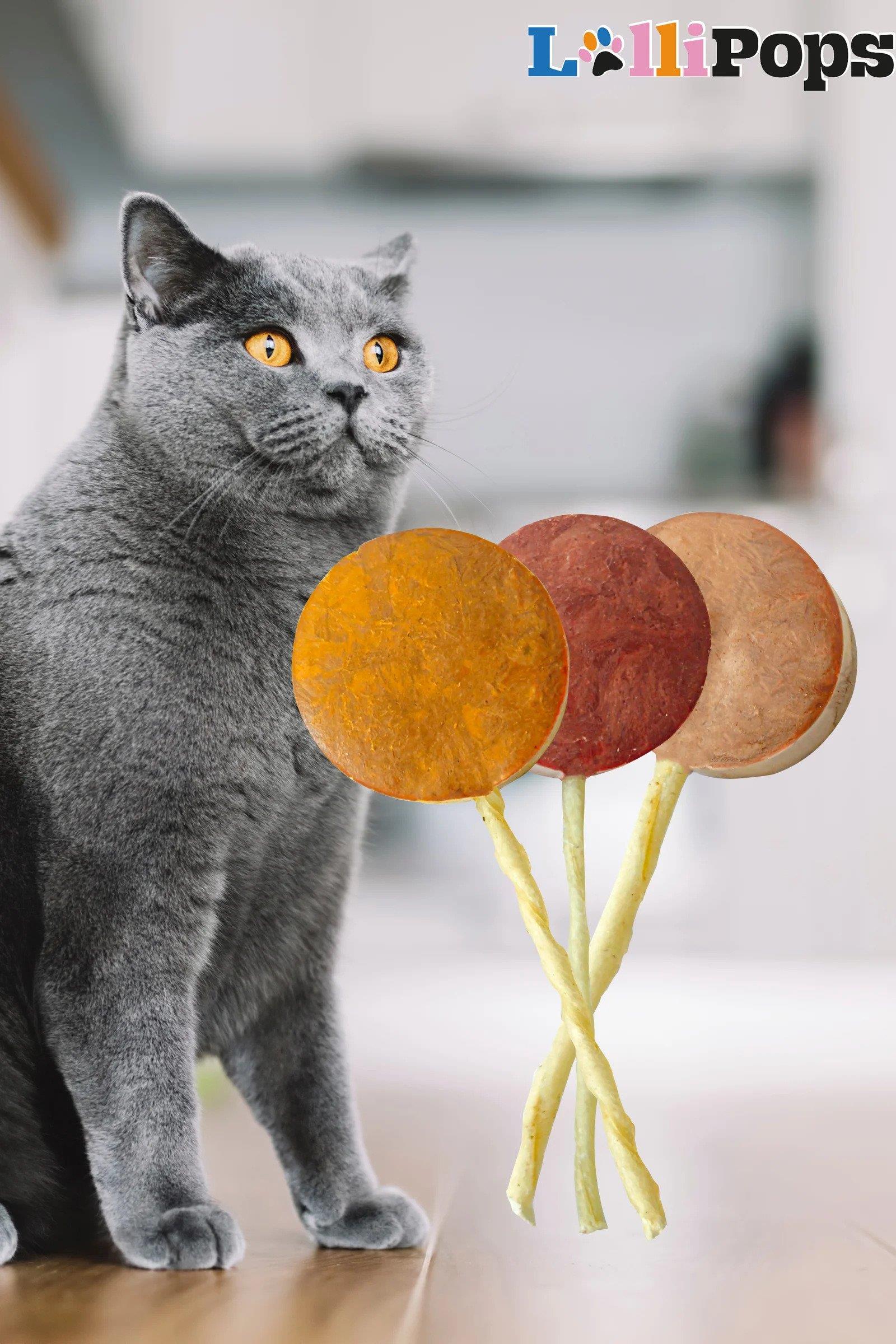 Pet Pops Freeze Dry Lolipop Yaban Mersinli Lolipop Kedi Ödülü