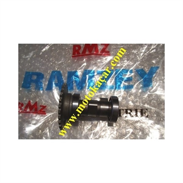 RAMZEY KARACA 100 EKSANTRİK MİLİ 