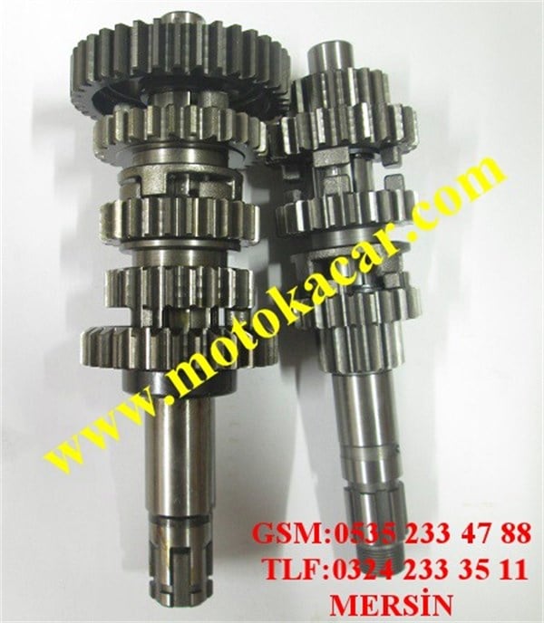 REGAL 250 ŞANZIMAN DİŞLİ SETİ