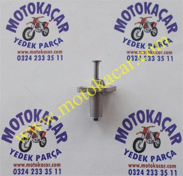 CYGNUS L TANSİYONER