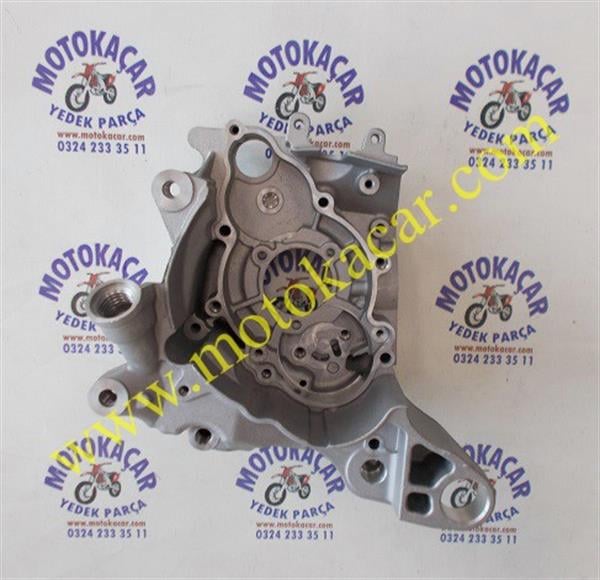 KUBA ZENZERO SAĞ KARTER