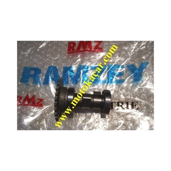 RAMZEY KARACA 100 EKSANTRİK MİLİ 