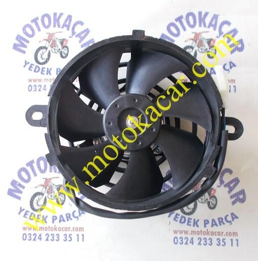 REGAL RAPTOR MR DESTO 250 RADYATÖR FANI