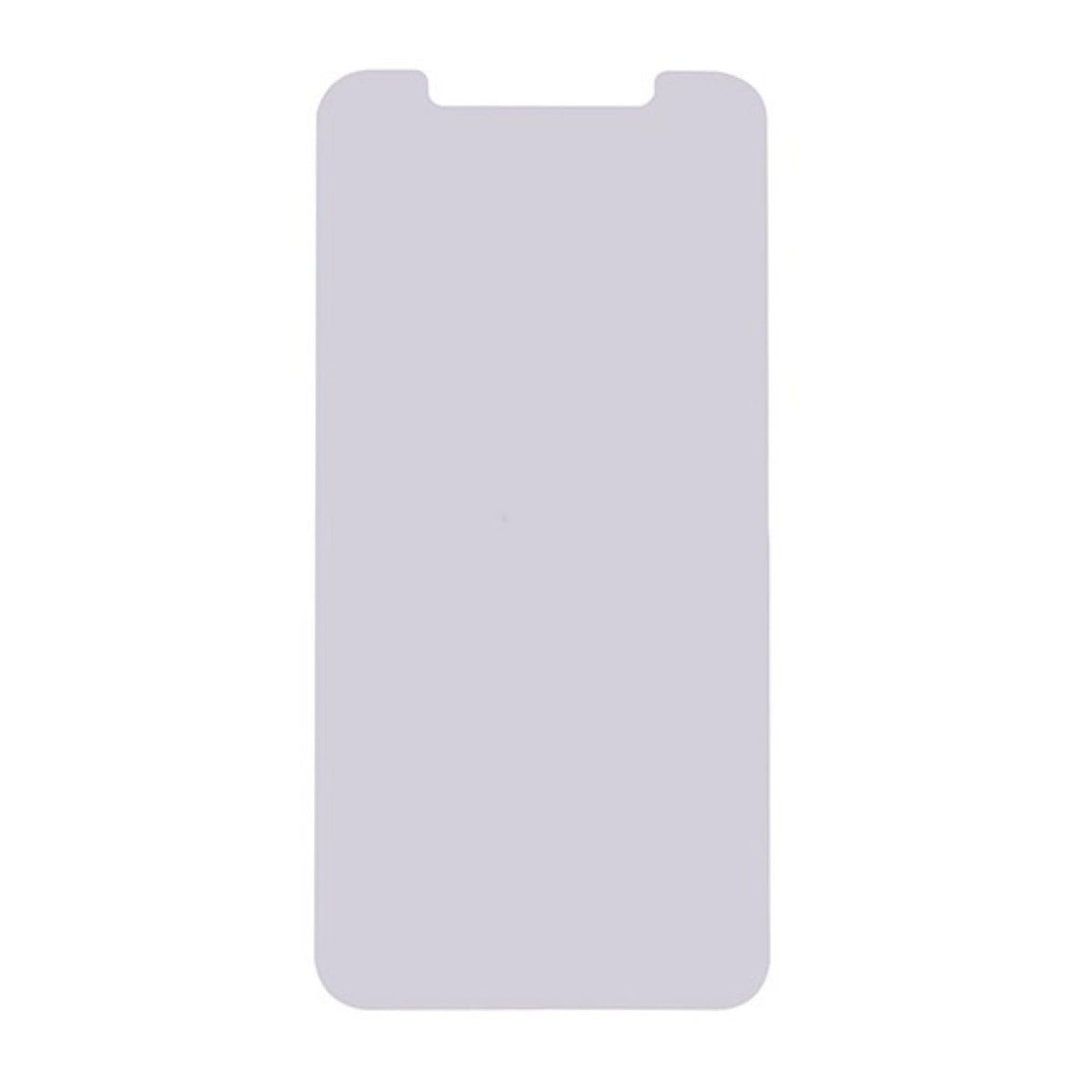 Apple iPhone Xs Max Polarize