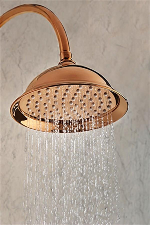 FM-0253 Rose Duş Ünitesi