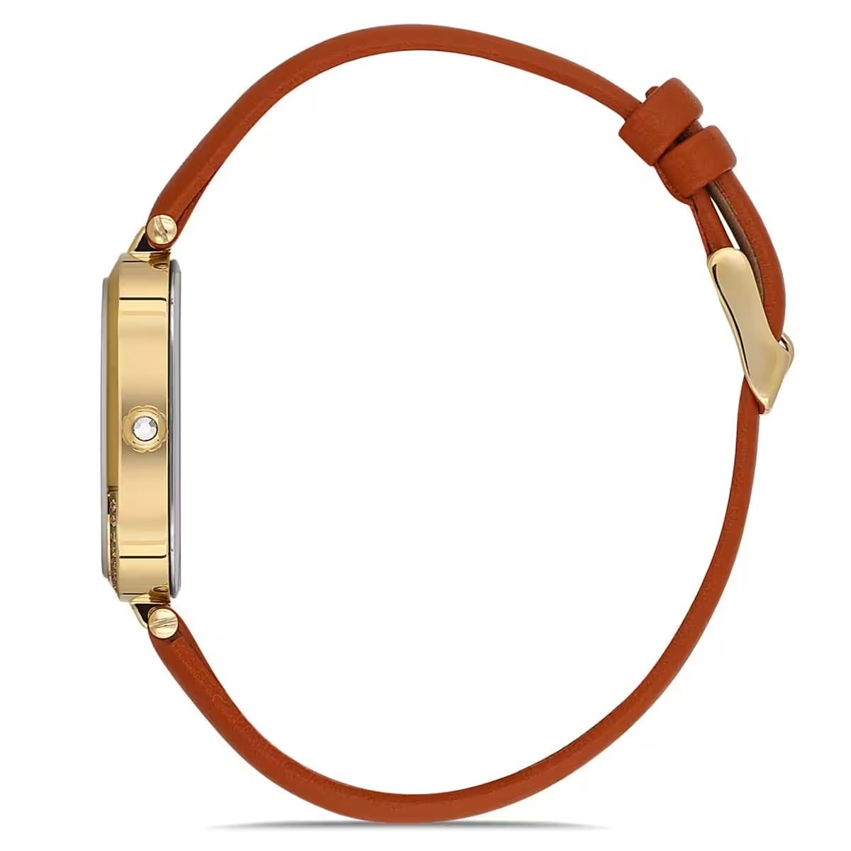 LAI-1-1972-53