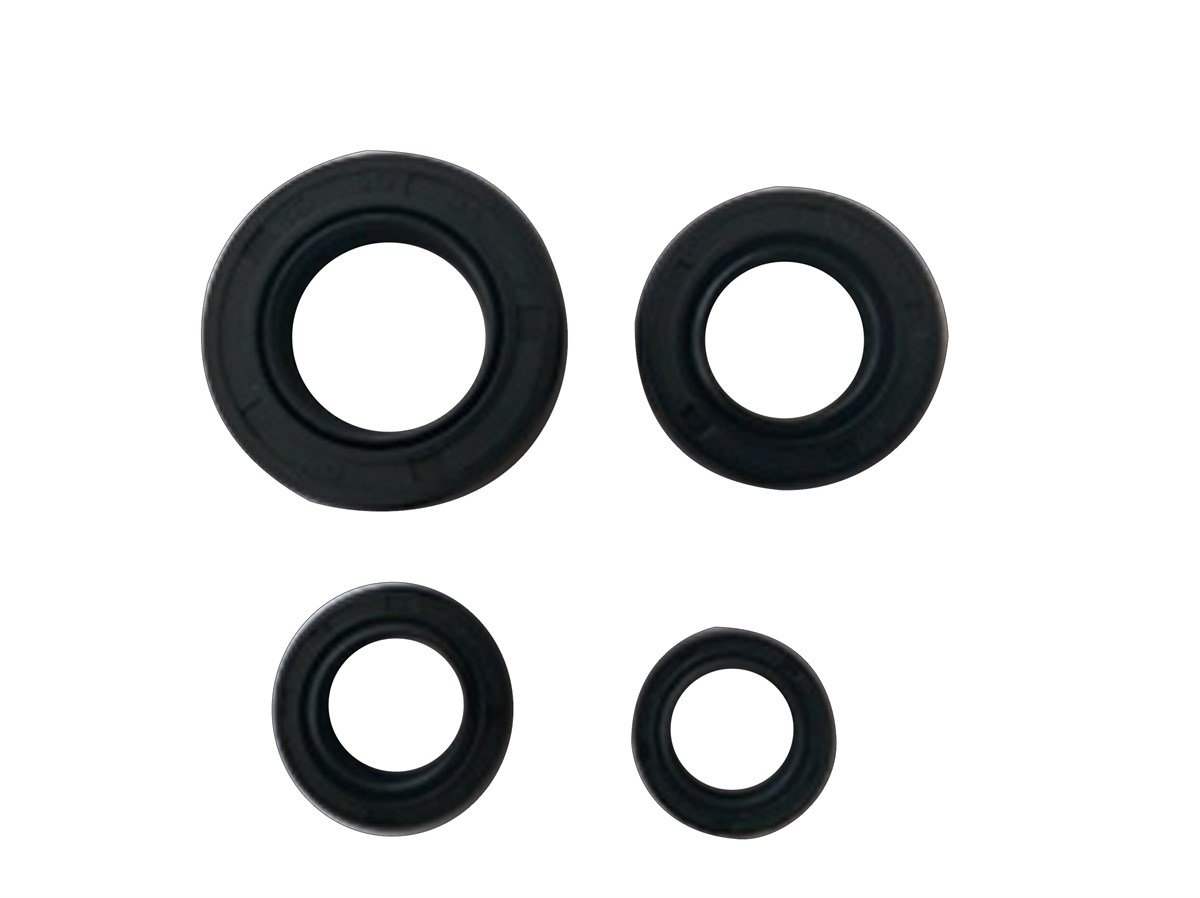 CBF150 KARTER KEÇE TAKIMI