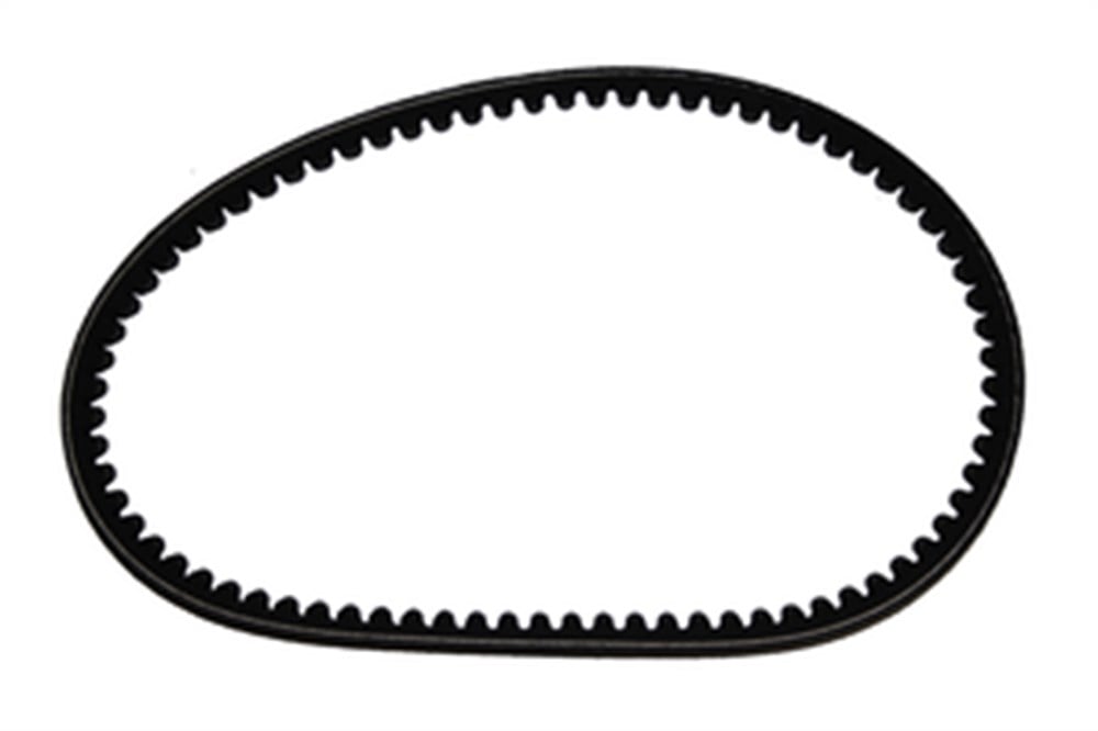 CYGNUS L KAYIŞCYGNUS L KAYIŞ