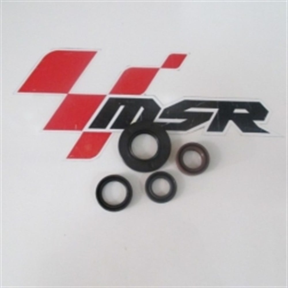 CYGNUS L KEÇE TAKIMICYGNUS L KEÇE TAKIMI