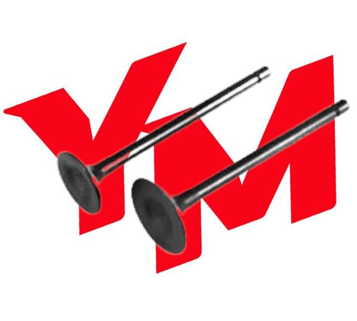 Motolüğx Rossi 50 Rs Subap TakımıMotolüğx Rossi 50 Rs Subap Takımı