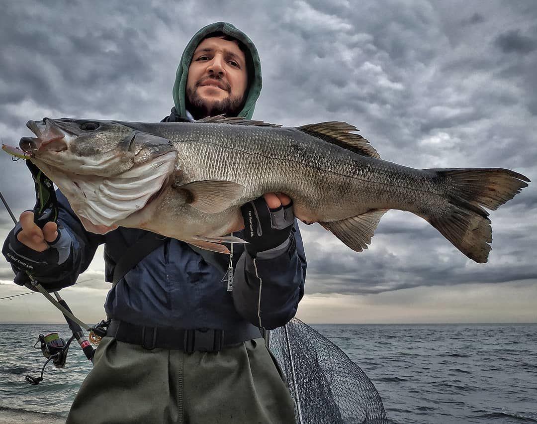 Apia Punchline Slim 90 12gr Sahte Balık #11 Baby Squid Glow