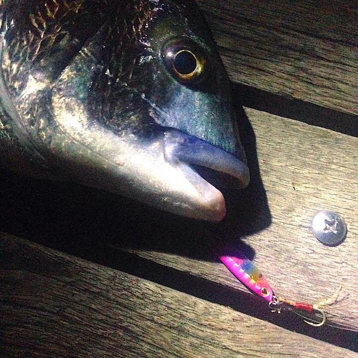 Apia Seiryu Bits Baby Jig 3gr #05 Red / Gold