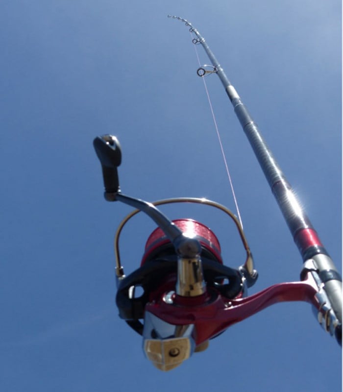 Daiwa Liberty HR 4.20mt 100-225gr (3P) Surf Kamış