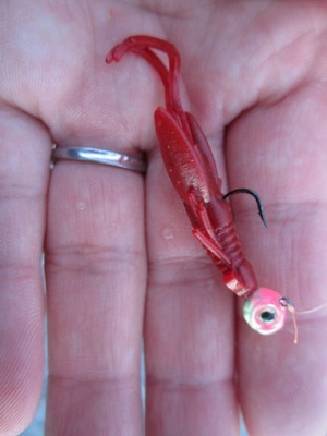 Daiwa SW Rock Fish Jig Head İğne #8 2.5gr