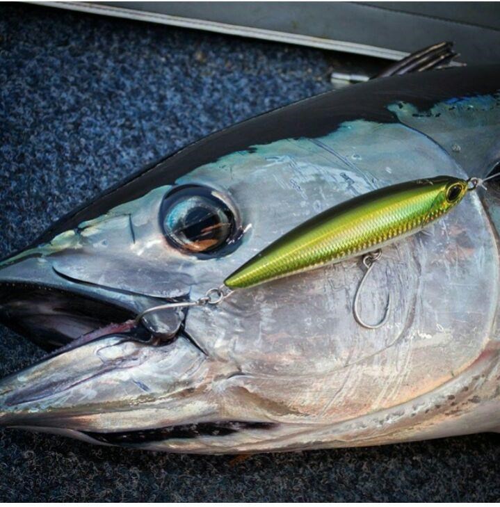 Duo Rough Trail Aomasa 188SF GHA0144 Yellow Tail