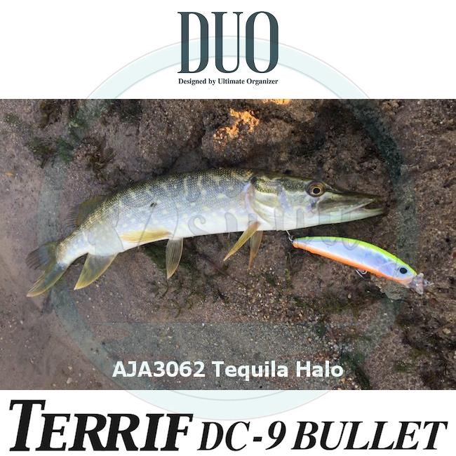 Duo Terrif DC-9 BULLET AJA3062 Tequila Halo