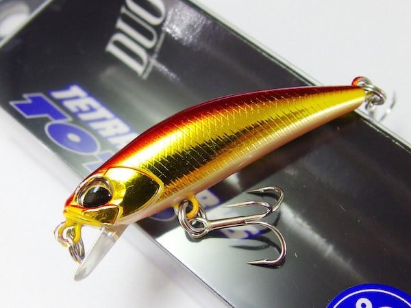 Duo Tetra Works Toto 42 ASA0026 Red Gold