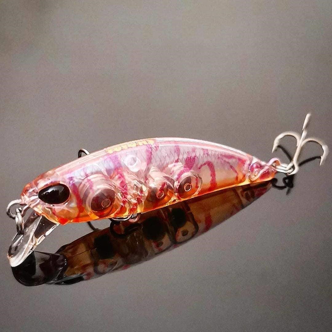 Duo Tetra Works Toto 48HS CTA0389 Sakura Shrimp