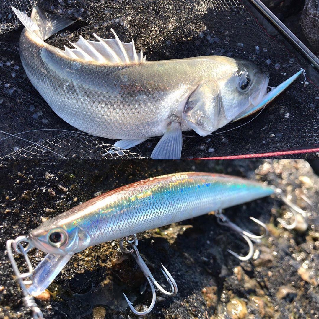 Duo Tide Minnow Slim 120 ADAZ039 Ocean Smelt