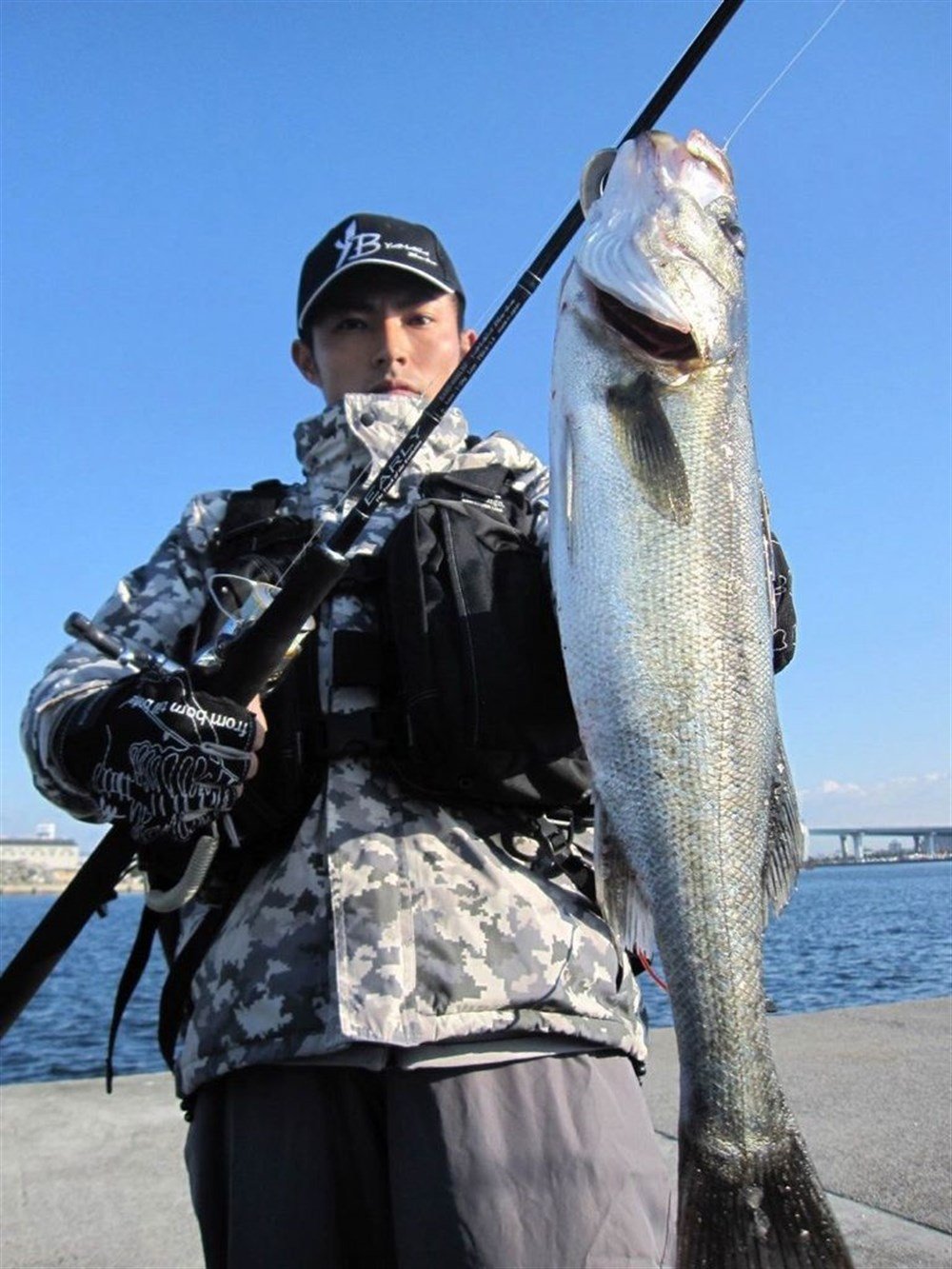 Early Plus 92XML Seabass 278cm 7-32gr