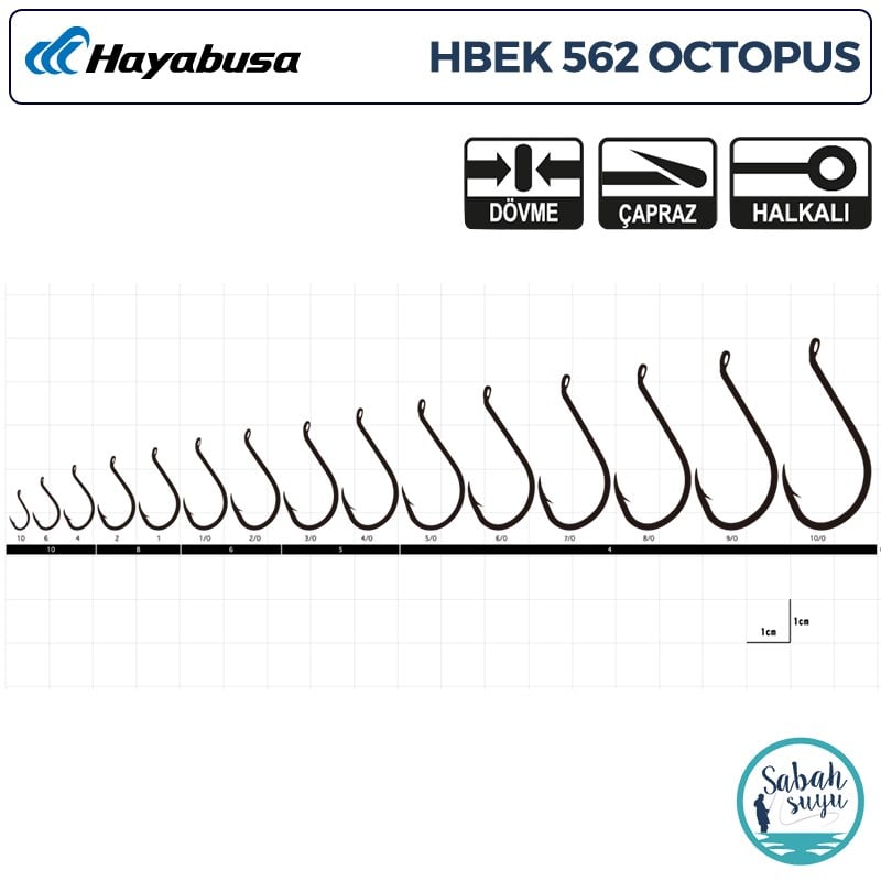 Hayabusa HBEK 562 Octopus Delikli İğne Siyah #2/0 (6 Adet)