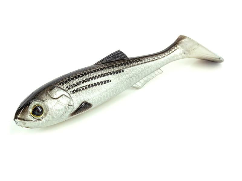 Molix RT Shad 3.5'' 9cm (5 Ad) Silikon Balık Mullet