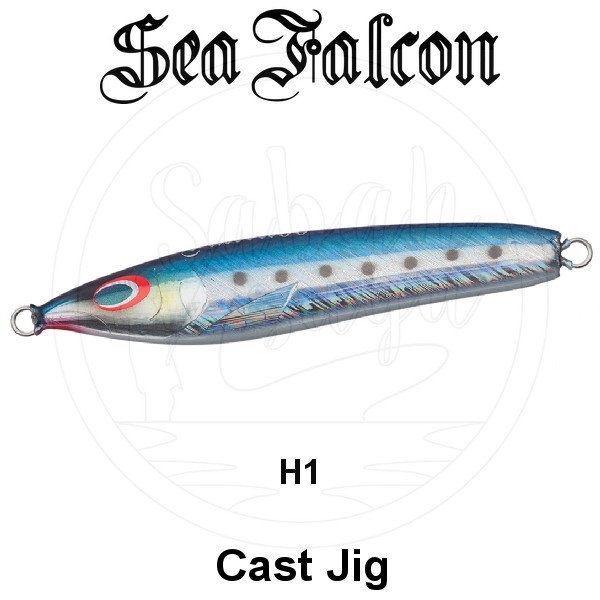 Sea Falcon Cast Jig 40gr H 01