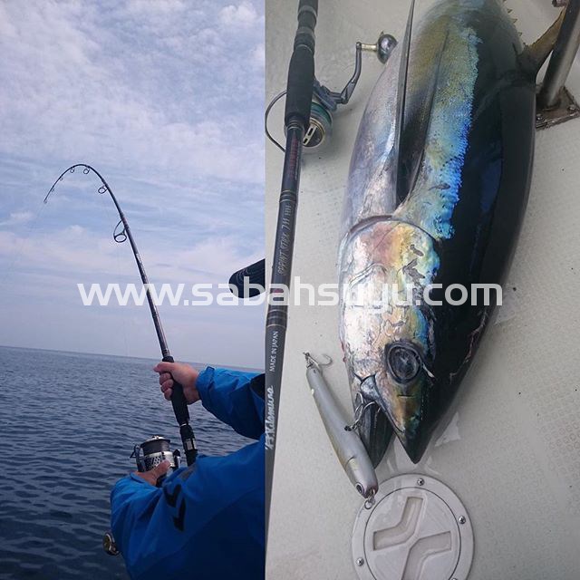 Tailwalk Master Built Jigging Sprint Stick 711H 241cm Max.120gr. Offshore Popping Kamışı