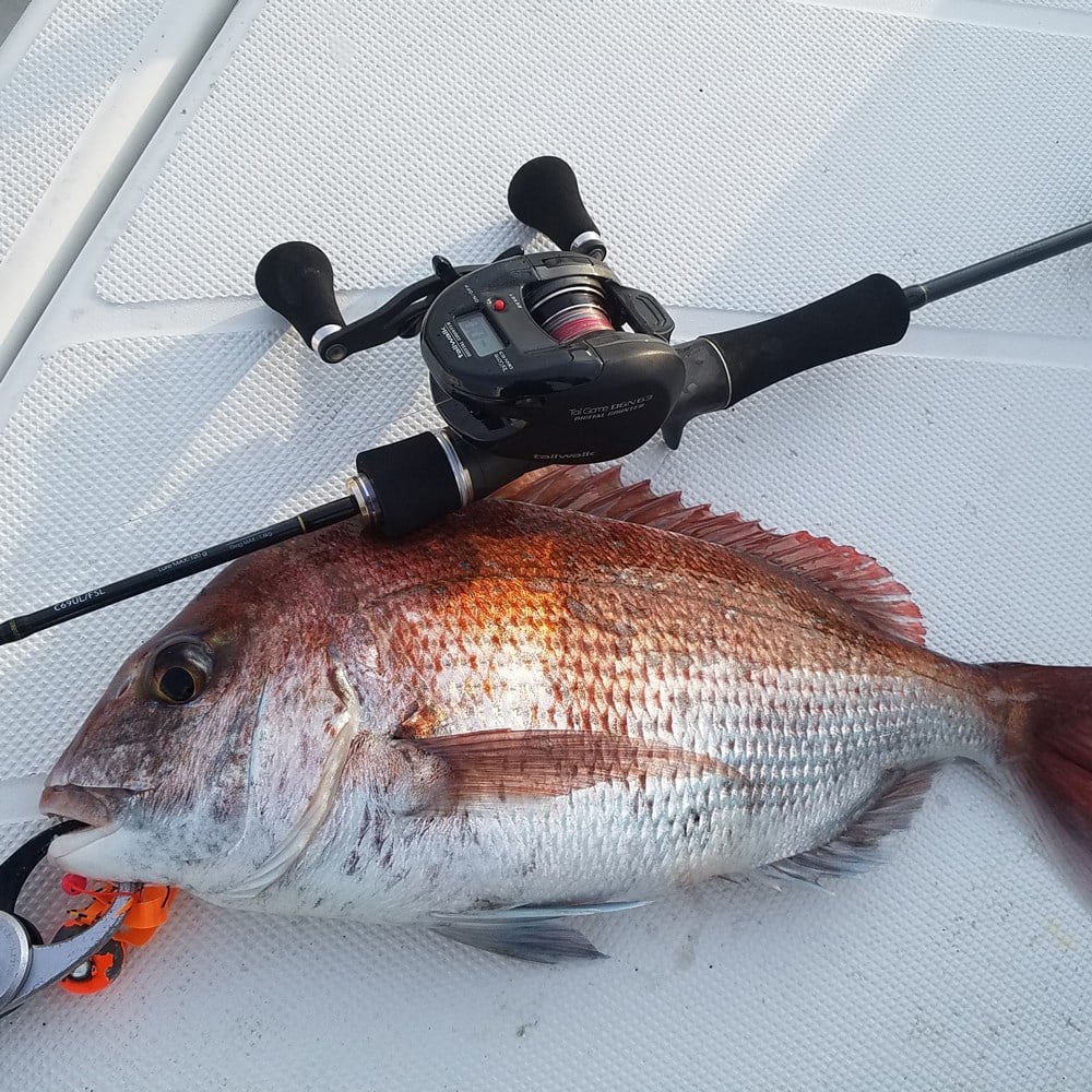 Tailwalk SSD Full Solid Spiral C69UL/FSL (S2P) Tetikli Tai Rubber Kamış 2.06mt Max.120gr