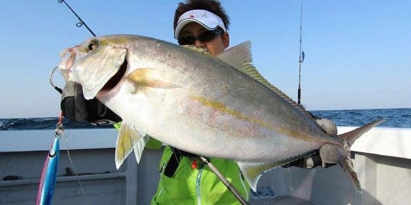 Tailwalk SSD Jigging S63/180 192cm Max.200gr