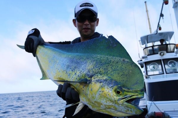 Tailwalk SSD Offshore Casting 80M 243cm Max.75gr