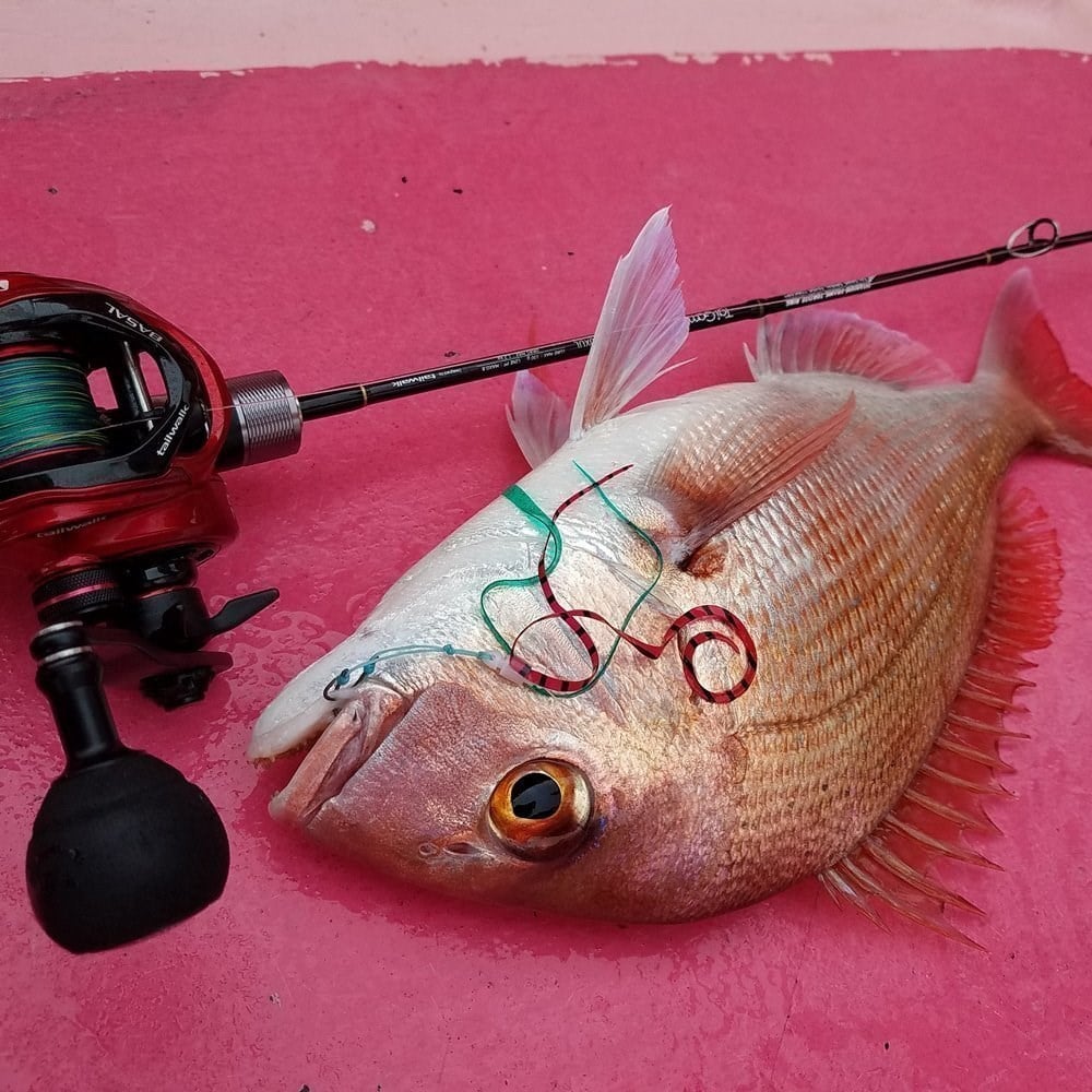 Tailwalk Wide Basal VT 81L Tai Rubber Çıkrık/Baitcasting Jig Olta Makinesi (Sol El)