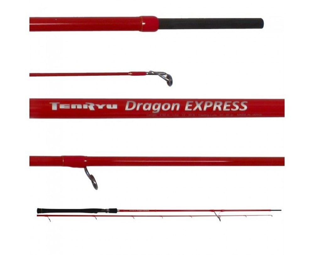 TENRYU Dragon Express 2.90m 20-60gr
