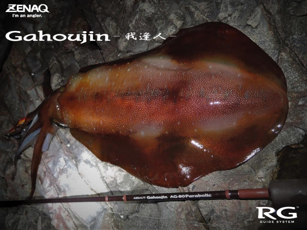 Zenaq Gahoujin AG80 Parabolic (RG) 244cm 13-28gr Spin Kamış