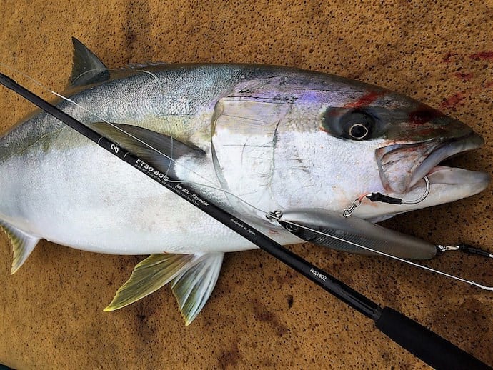 Zenaq Tobizo TC80-80G 244cm Max 110gr Offshore Casting Popping Kamış