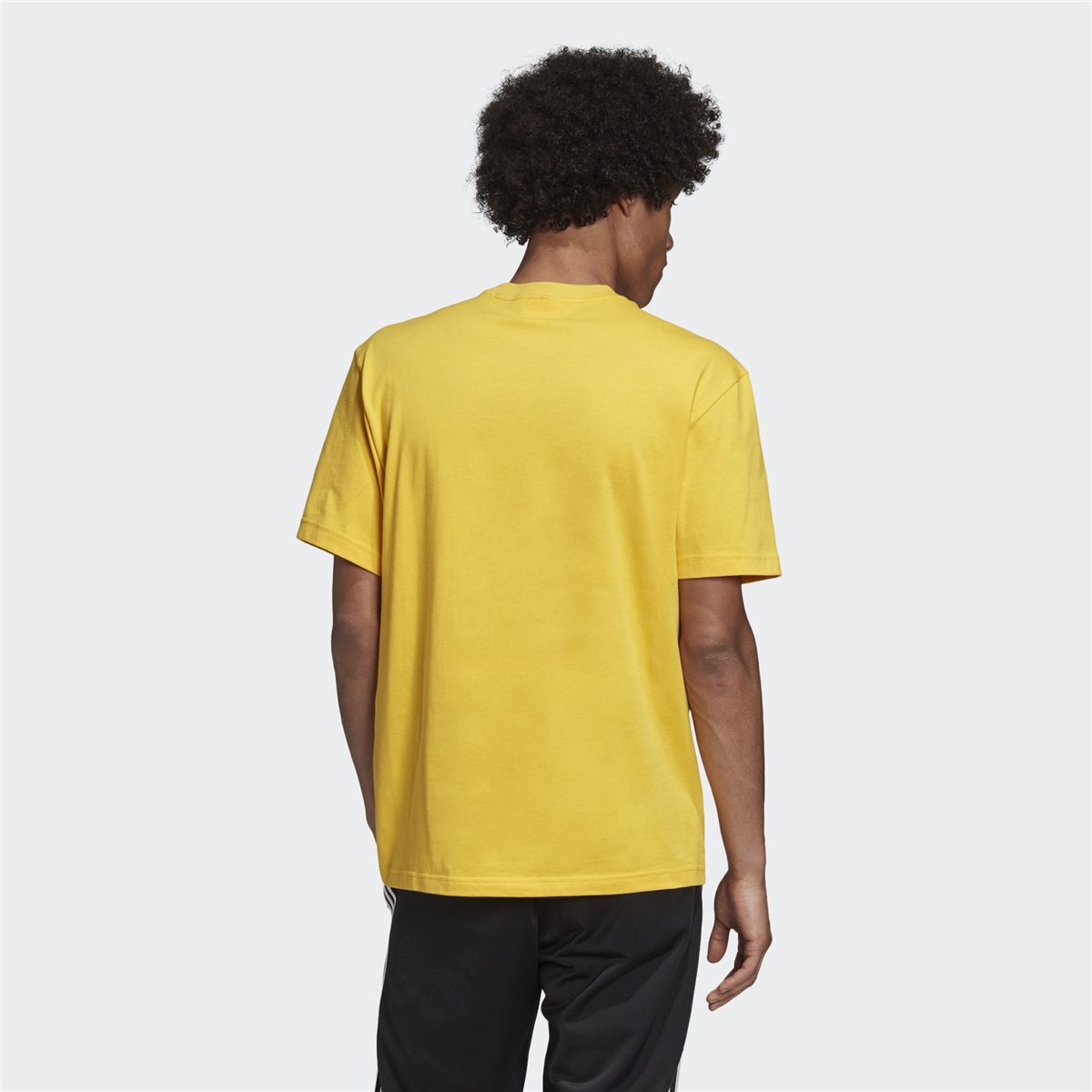 adidas ADV Graphic Tee Erkek Tişört 