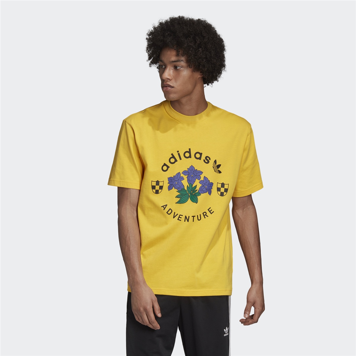 adidas ADV Graphic Tee Erkek Tişört 