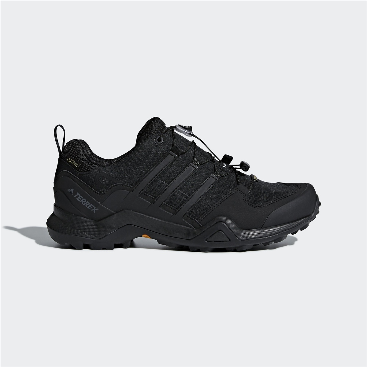 adidas Terrex Swift R2 GTX Erkek Ayakkabı
