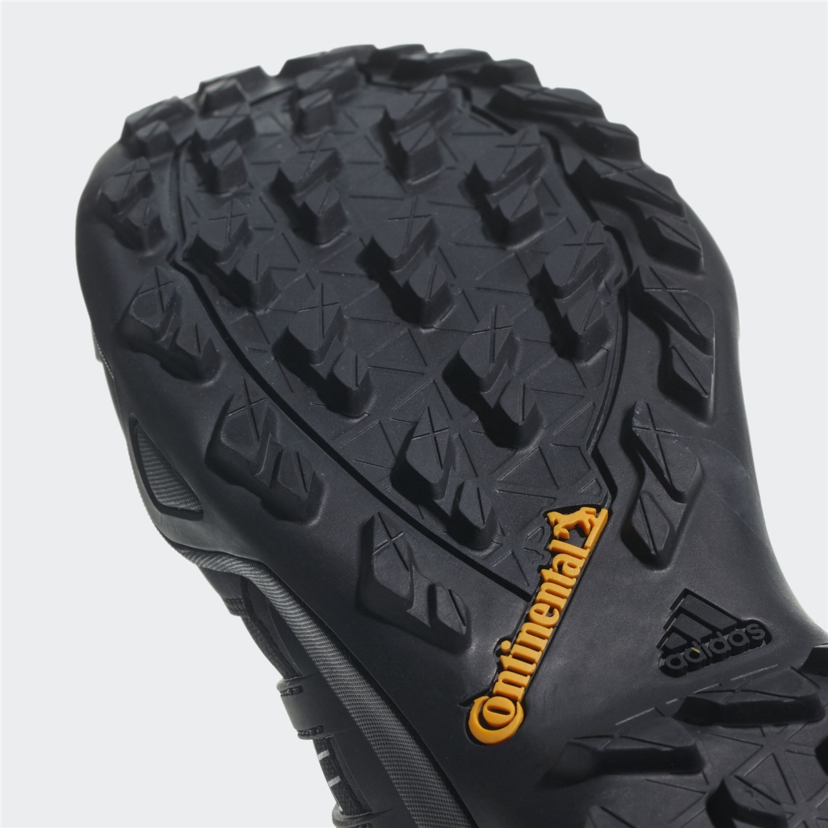 adidas Terrex Swift R2 GTX Erkek Ayakkabı